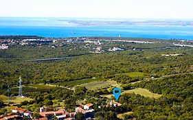 Terra Del Carso